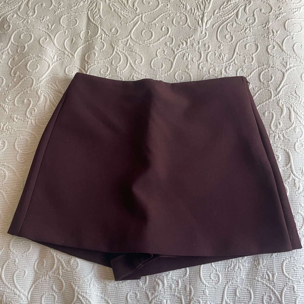 Zara Deep Burgundy Skirt